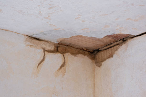 Best 24-hour water damage restoration  in West Rson, CA