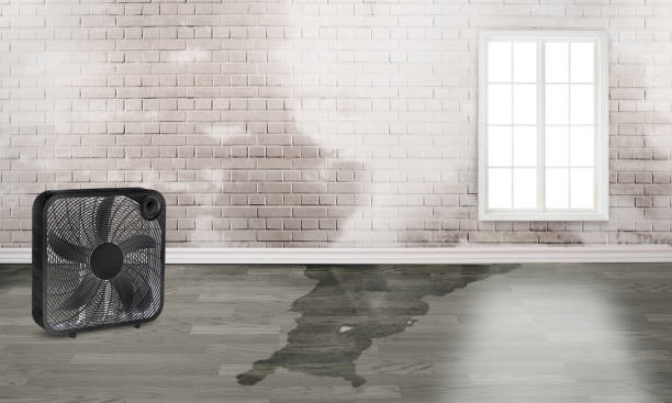 Professional Water damage restoration in West Carson, CA