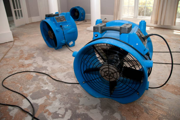 Best Water damage restoration near me  in West Rson, CA
