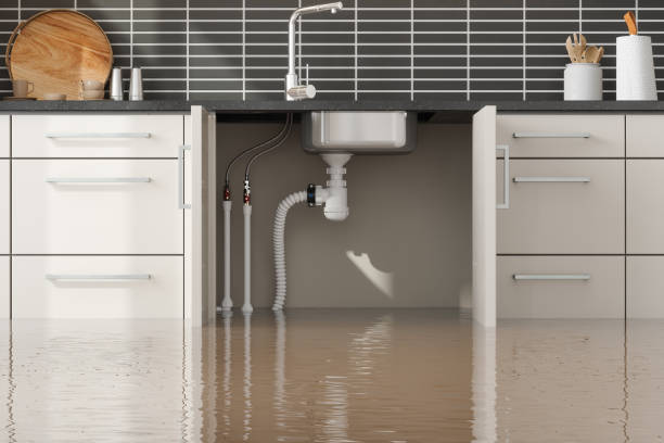 Best Sewage cleanup and water damage restoration  in West Rson, CA