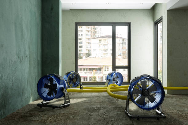 Best Professional water damage repair  in West Rson, CA