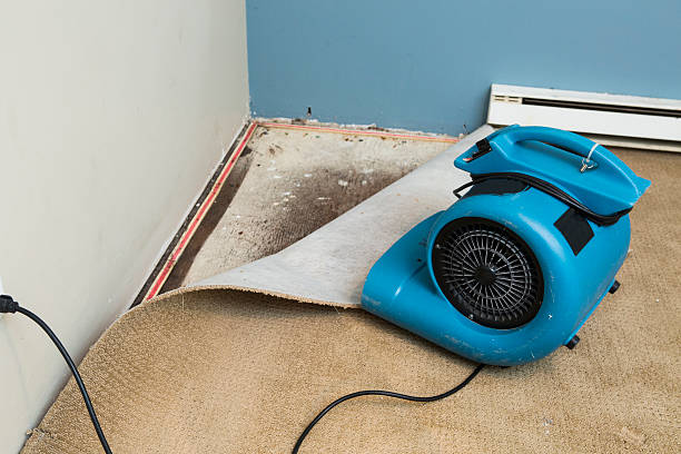 Best Water damage repair service  in West Rson, CA